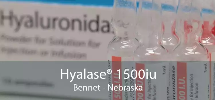 Hyalase® 1500iu Bennet - Nebraska