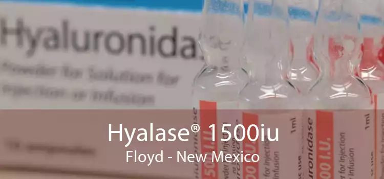 Hyalase® 1500iu Floyd - New Mexico
