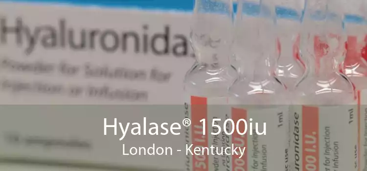 Hyalase® 1500iu London - Kentucky