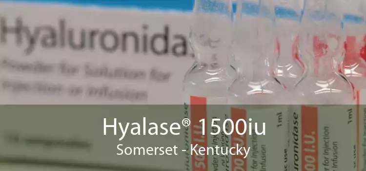 Hyalase® 1500iu Somerset - Kentucky