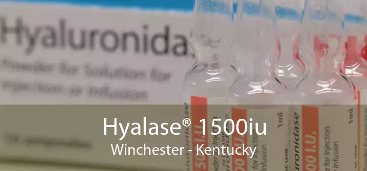 Hyalase® 1500iu Winchester - Kentucky